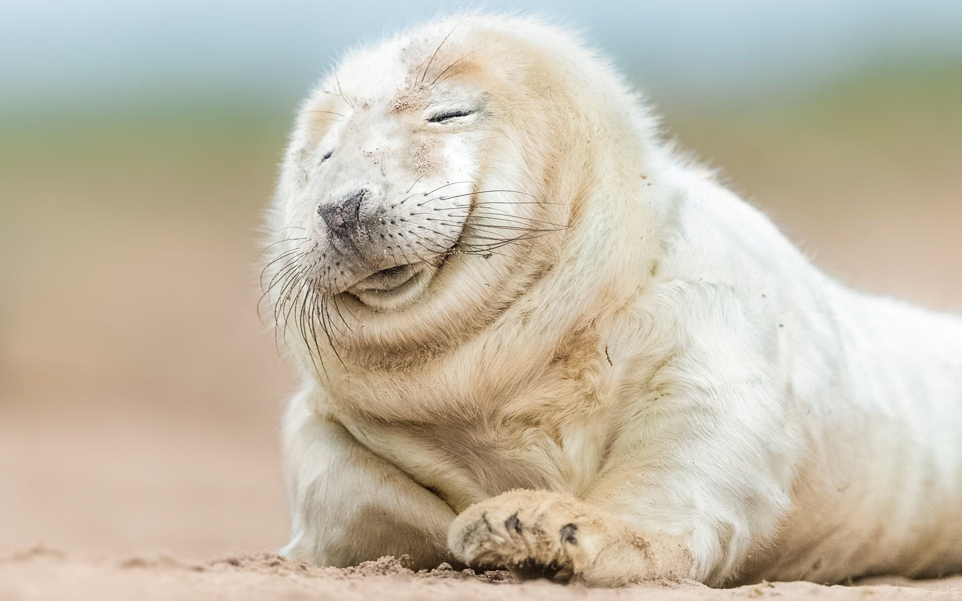 《Faker：十年电竞，传奇仍在续写》，faker电竞历史