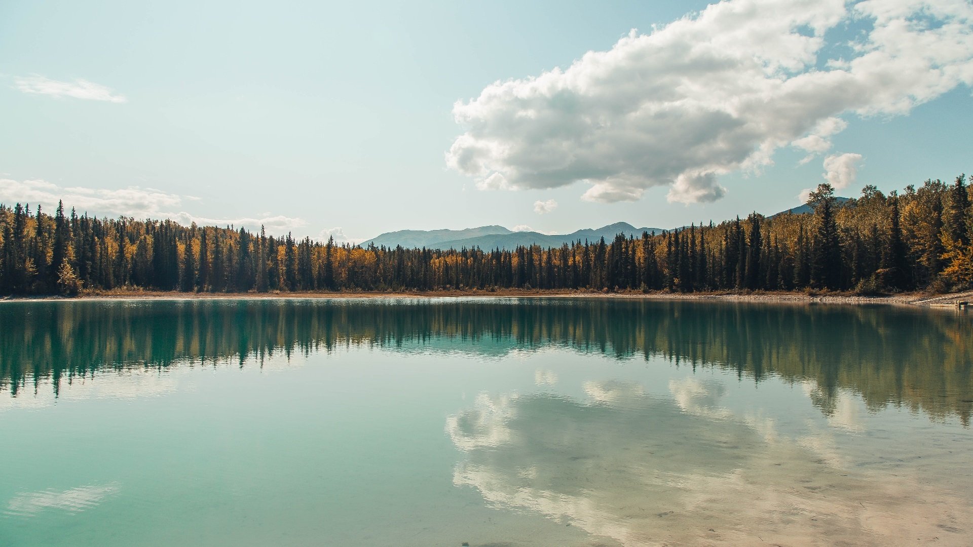 【逆境中的战术应变】球队如何利用规则逆转战局？，足球逆转