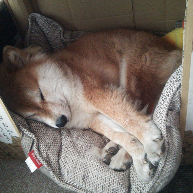 交易截止日收官,球队补强阵容分析,球队补强什么意思