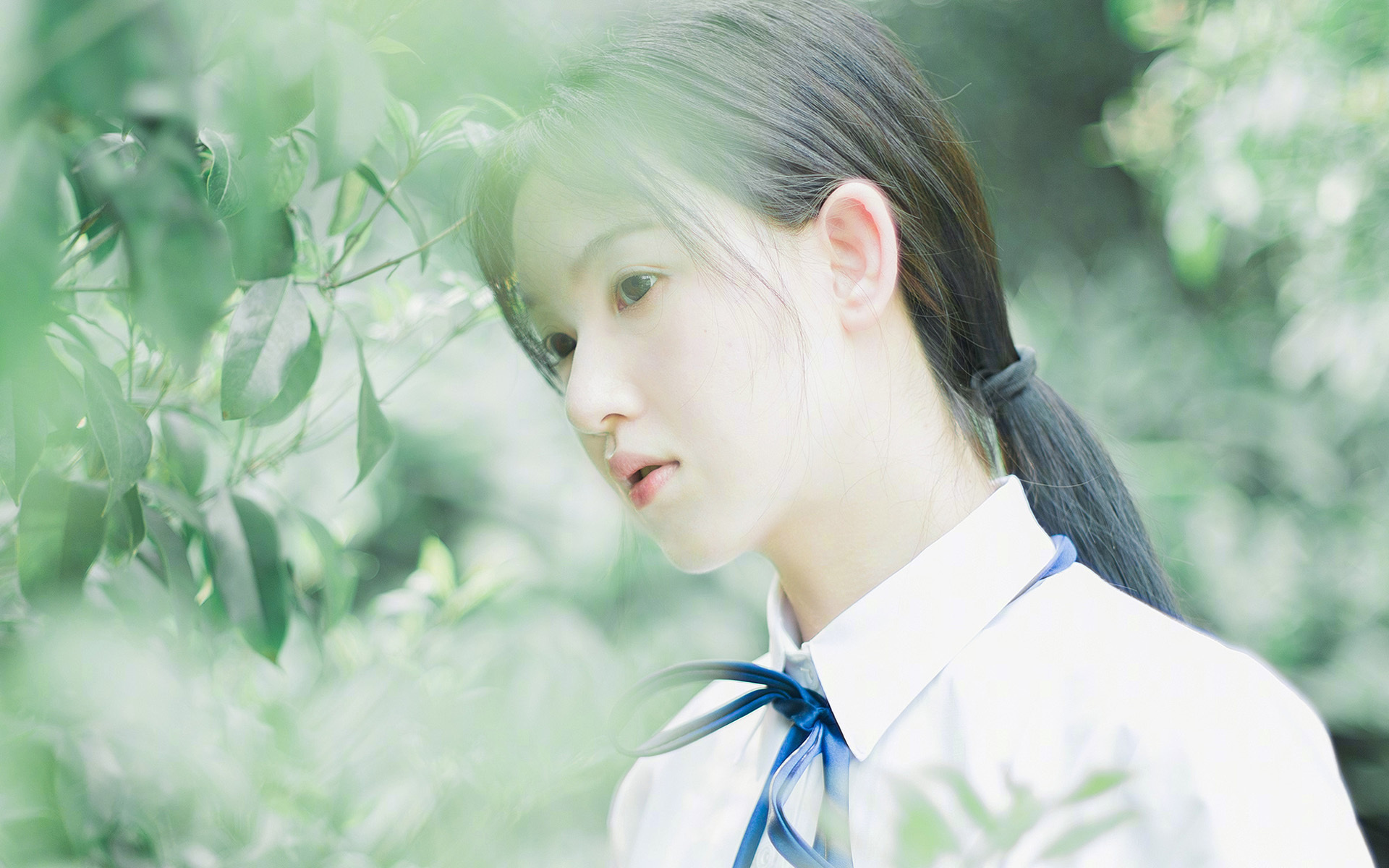 交易截止日收官,球队补强阵容分析,球队补强什么意思