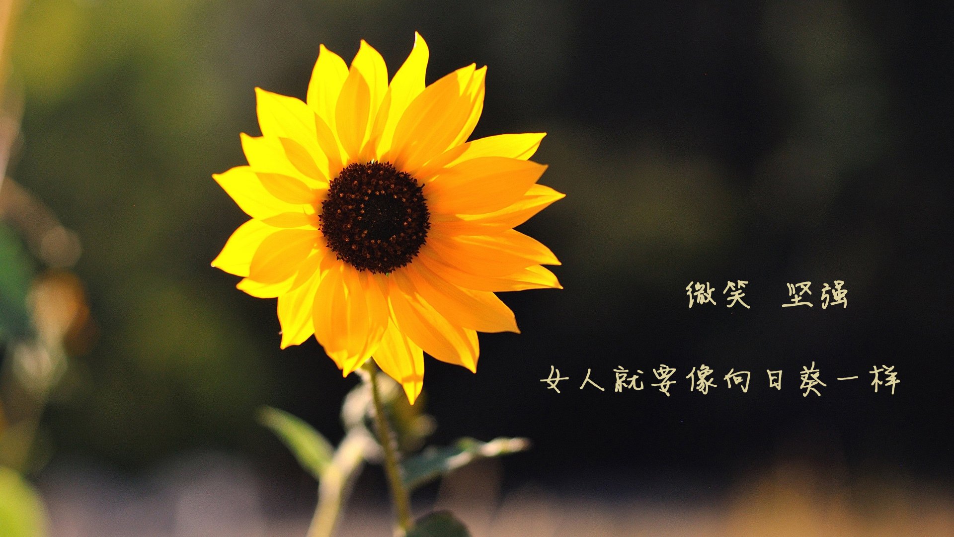 体育+科技创新助推青少年篮球比赛智能化、数字化，体智能篮球课美篇