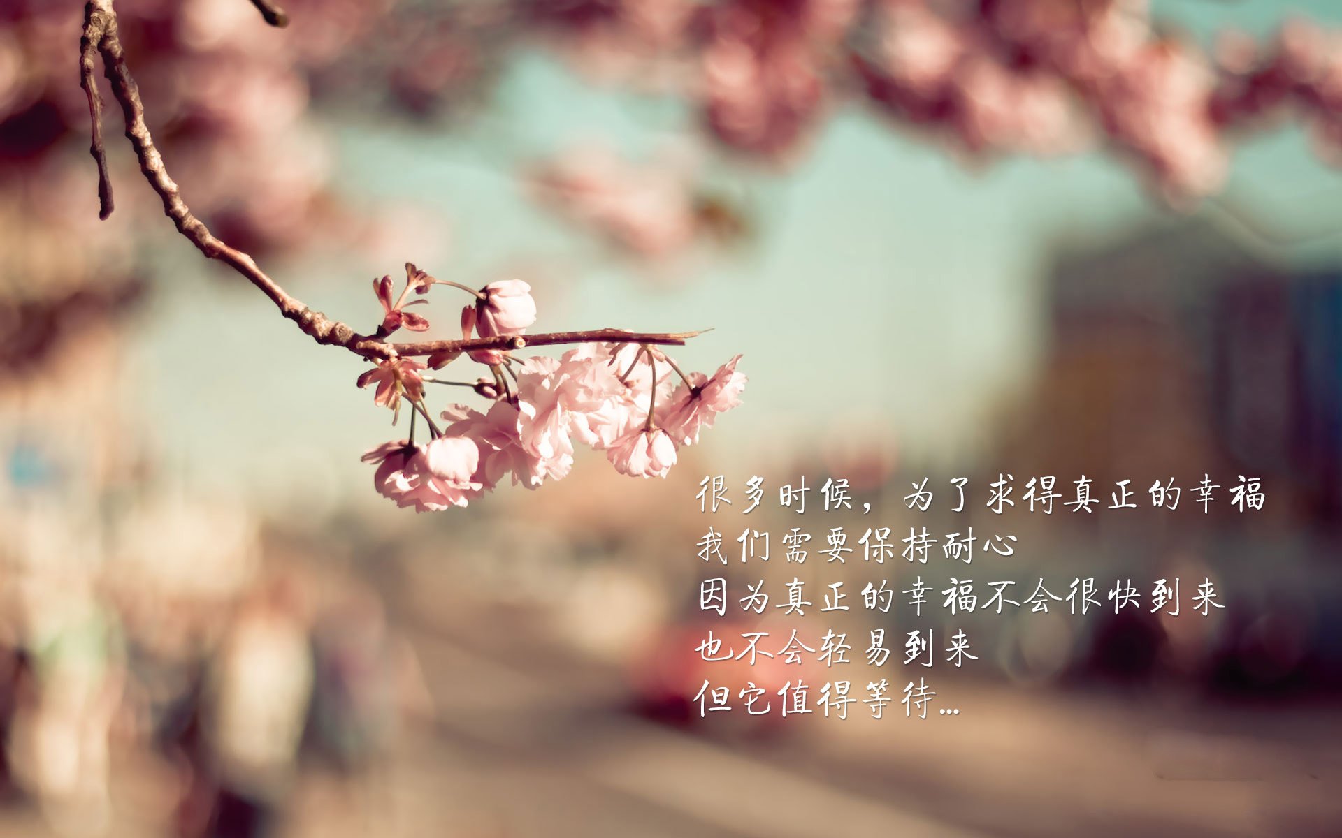 开云·体育官网-“中国足球裁判技术培训班全国巡讲圆满结束”，足球裁判培训视频