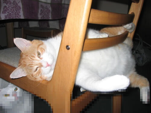 【大谷翔平的两栖奇迹】投打两端引领联盟风潮,大谷翔平个人资料