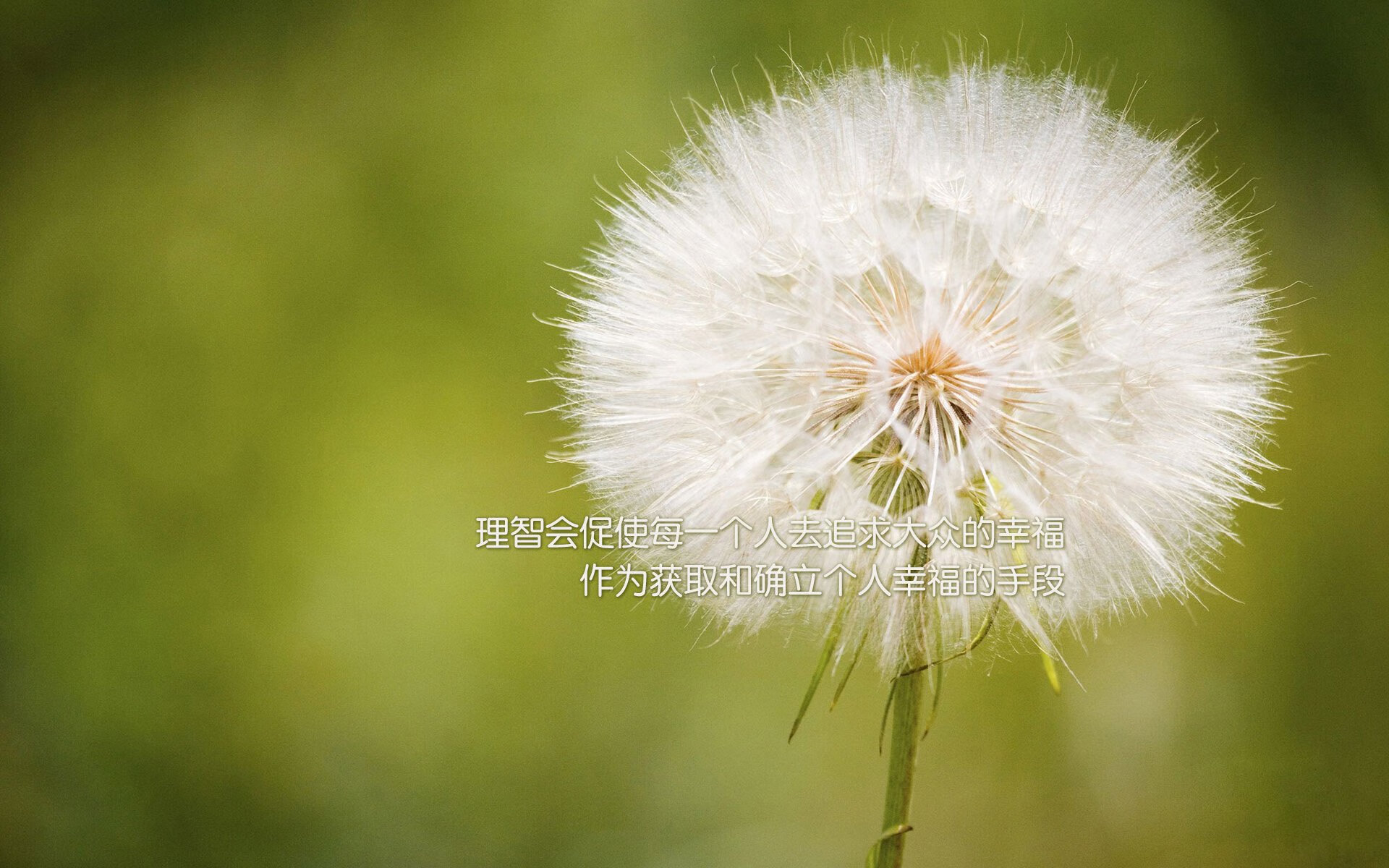 曲棍球联赛：速度与爆发力的展示，曲棍球比赛视频完整